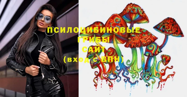mdpv Нягань