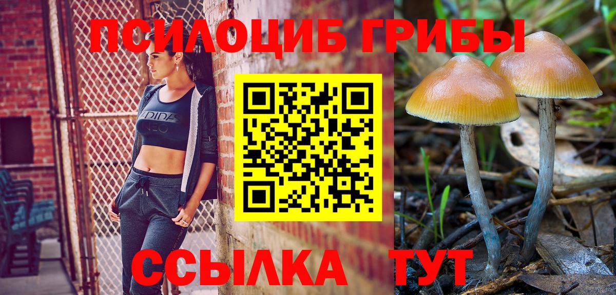 Галлюциногенные грибы ЛСД Новый Уренгой