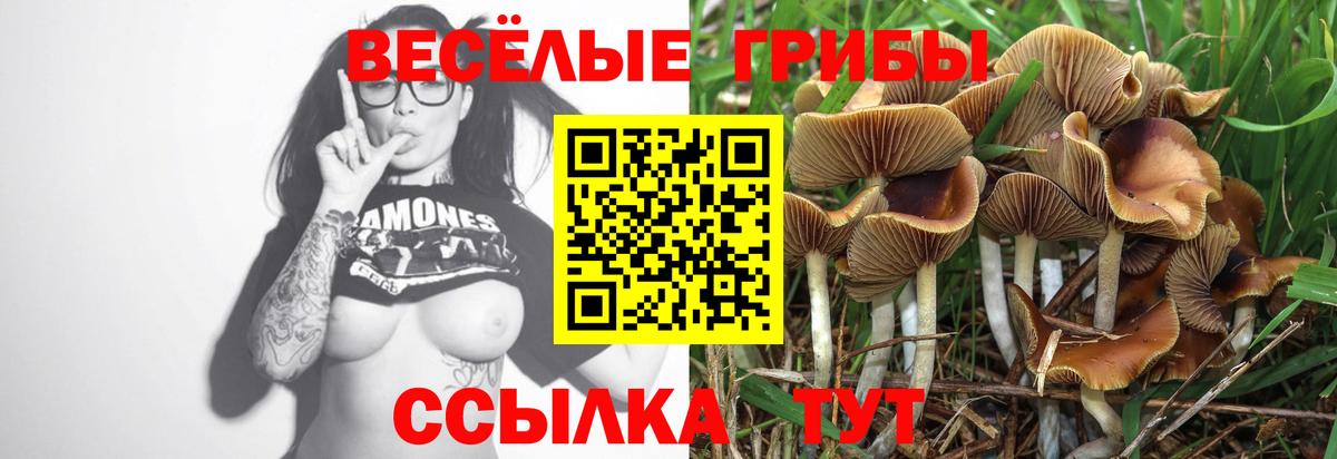 Галлюциногенные грибы MAGIC MUSHROOMS  Галлюциногенные грибы Magic Shrooms  Новый Уренгой  Вход с VPN 