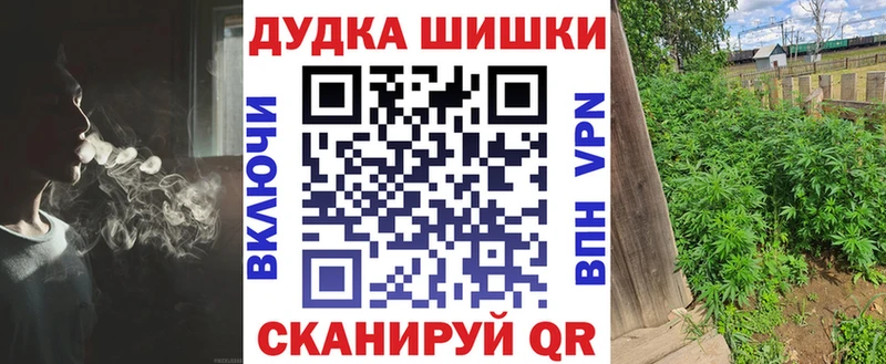 Бошки марихуана план Новый Уренгой